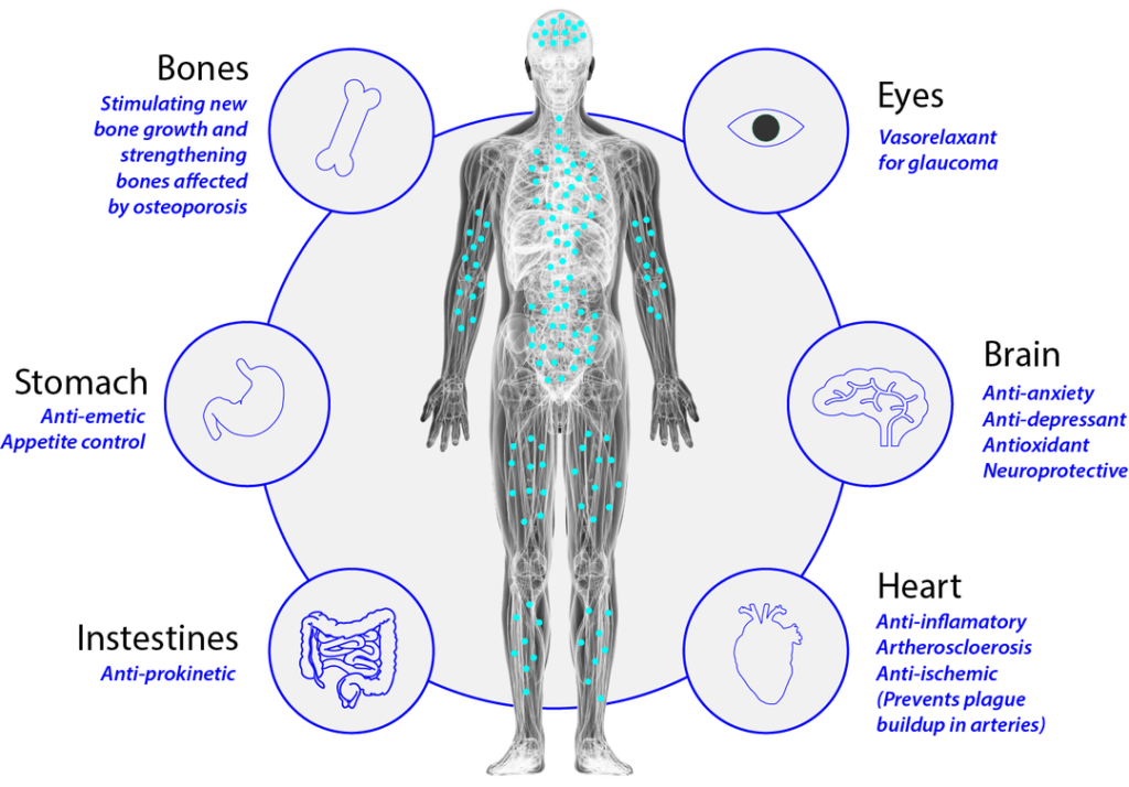 skeletal benefits